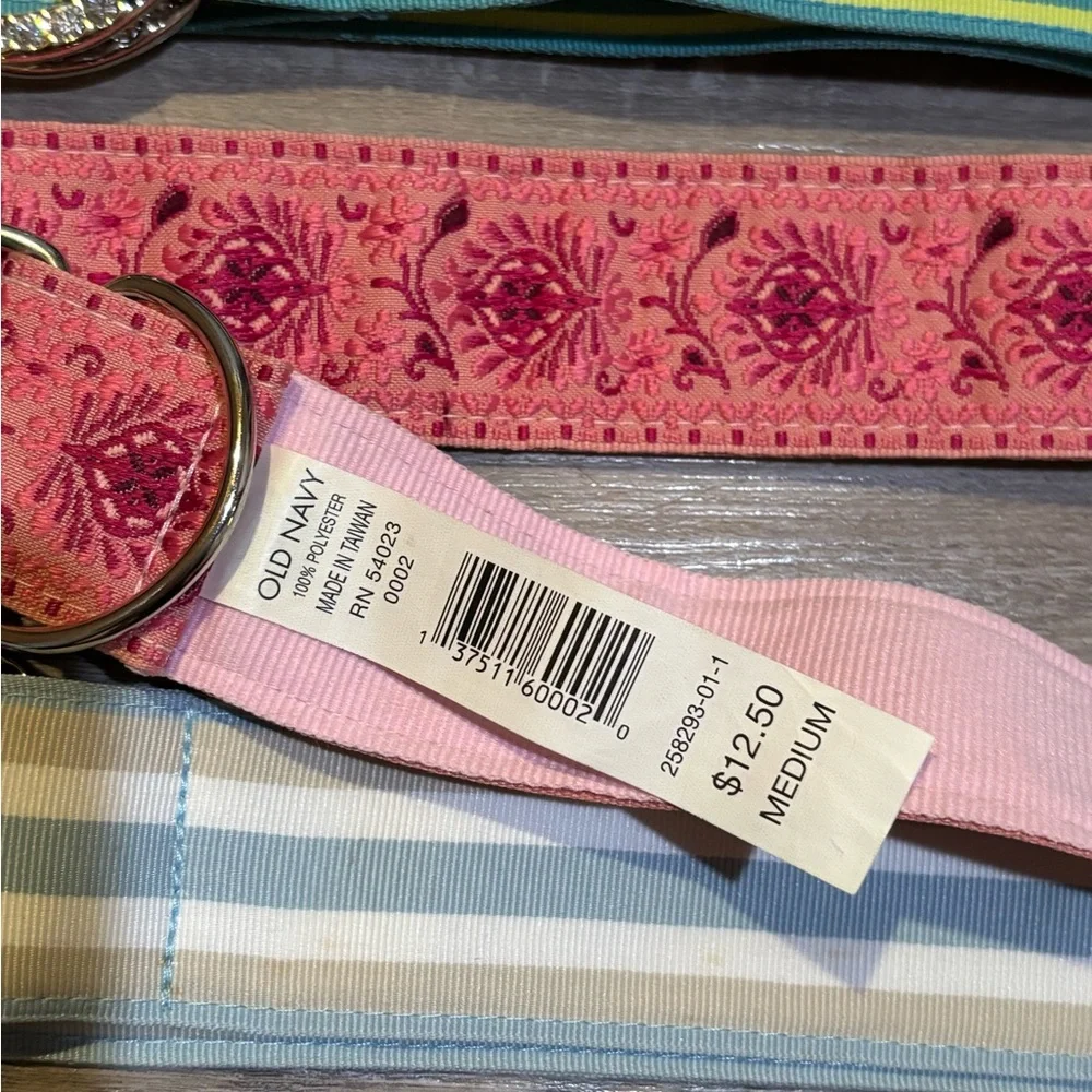 5 Authentic vintage Y2K double d ring ribbon belts bling preppy women’s